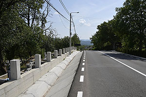 Șurdești