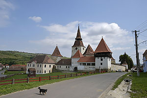 Archita