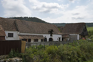 Archita