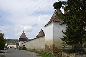 Archita