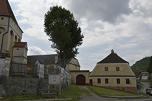 Saschiz