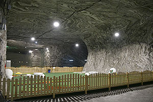 Ocnele Mari