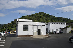 Ocnele Mari
