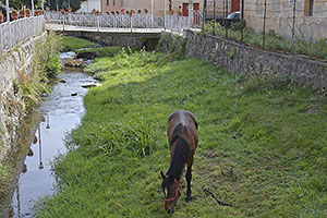 Rășinari