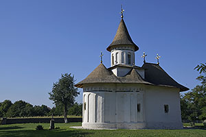 Pătrăuți