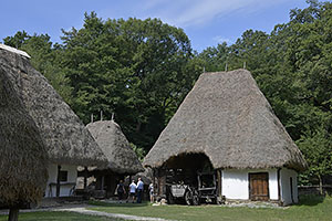 Sibiu