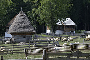 Sibiu