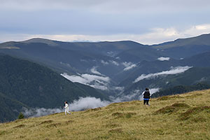 Transalpina, DN67C