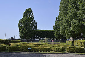 Stockholm: Stadshusträdgården, 21.7.2022 Stockholm