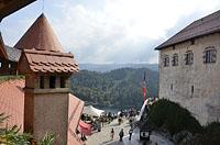 Bled