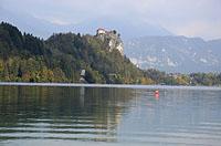 Bled