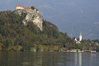 Bled