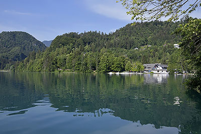 Bled