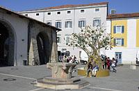 Koper