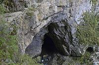 Škocjanske jame