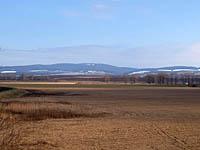 Skalica