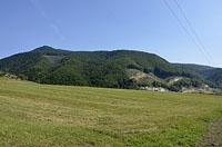 Kralovany