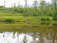 Vysoke Tatry