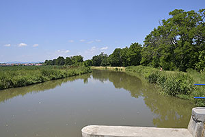 Trnava