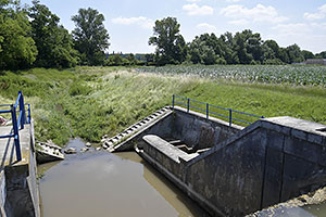 Trnava