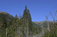 Vysoke Tatry