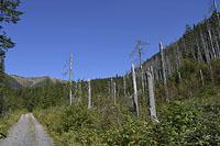 Vysoke Tatry