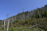 Vysoke Tatry