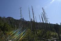 Vysoke Tatry