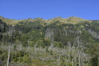 Vysoke Tatry