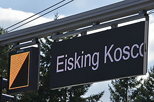 Eisking 2025