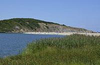 Sinemorec