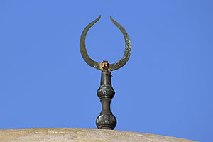 Larnaka