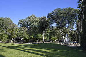 Nikózia, Lefkosia