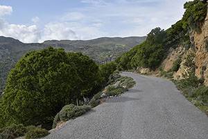 Kreta