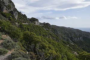 Kreta