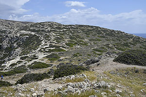 Matala