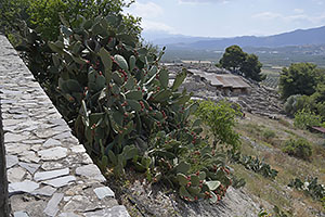Faistos