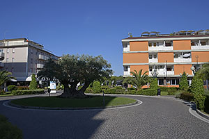Bibione