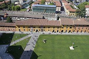 Pisa