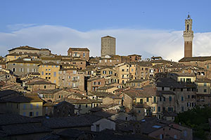 Siena