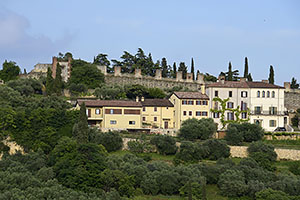 Verona