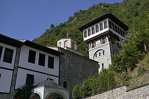 Rostusa