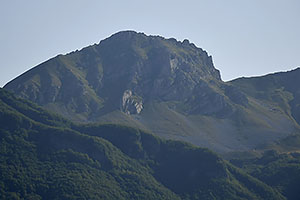 Rostusa