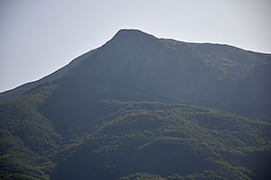 Rostusa