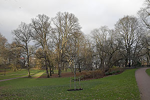 Oslo