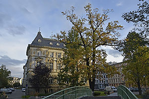Bielsko-Biała: Urząd Miejski w Bielsku-Białej, Plac Ratuszowy, 22.10.2025 Bielsko-Biała