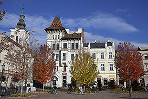 Bielsko-Biała: Kamienica Pod Żabami, Plac Wojska Polskiego, 22.10.2025 Bielsko-Biała