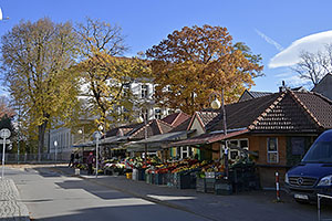 Żywiec